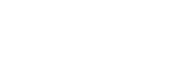 Chiloex